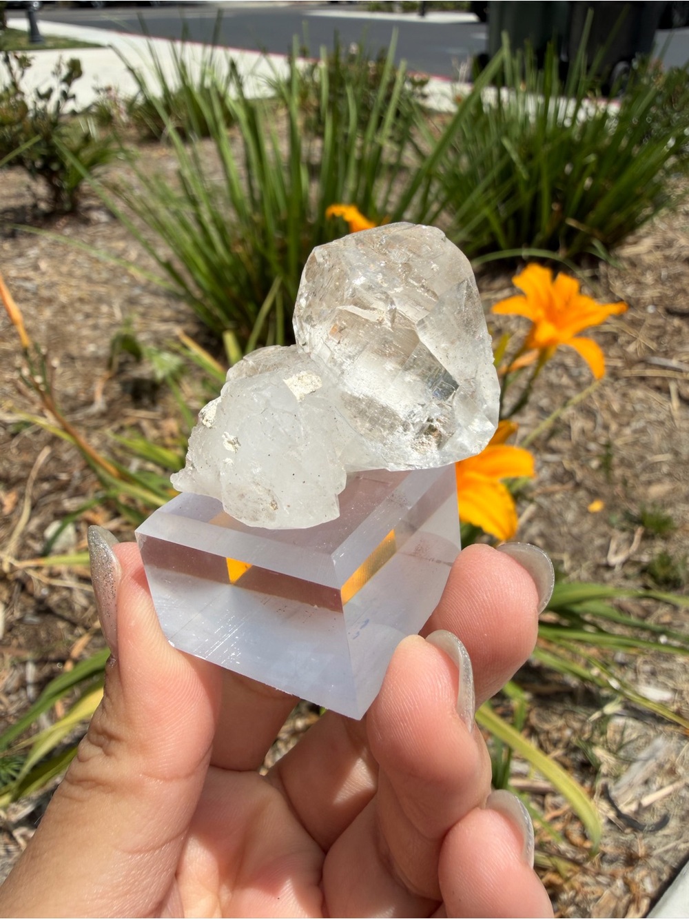 Natural Indian Himalayan Quartz Cluster Double Point Specimen,A613